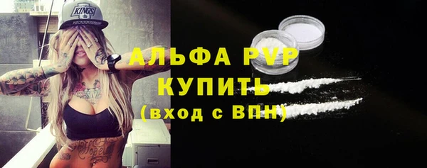 прущие грибы Белоозёрский
