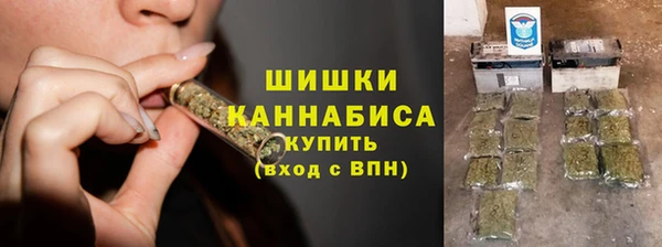 прущие грибы Белоозёрский