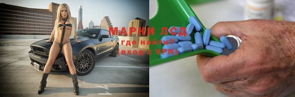 прущие грибы Белоозёрский