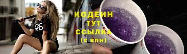гидра Белокуриха