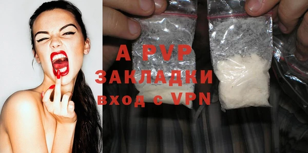 гидра Белокуриха