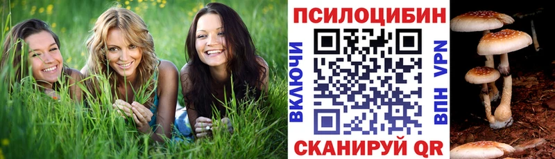 Галлюциногенные грибы GOLDEN TEACHER  где найти   Пятигорск 